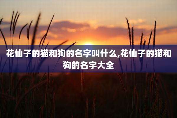 花仙子的猫和狗的名字叫什么,花仙子的猫和狗的名字大全