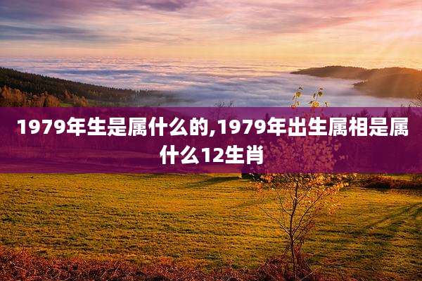 1979年生是属什么的,1979年出生属相是属什么12生肖