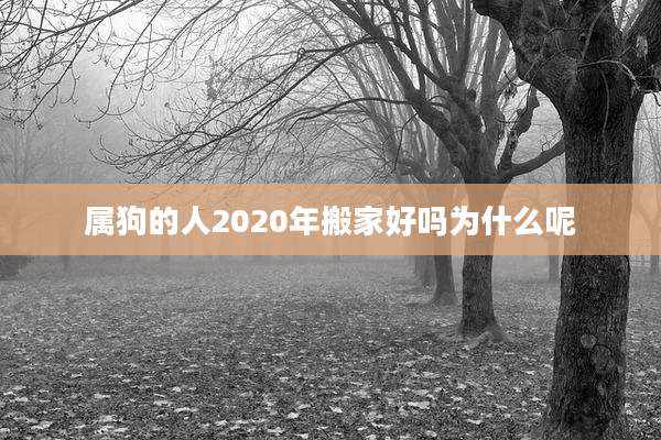 属狗的人2020年搬家好吗为什么呢