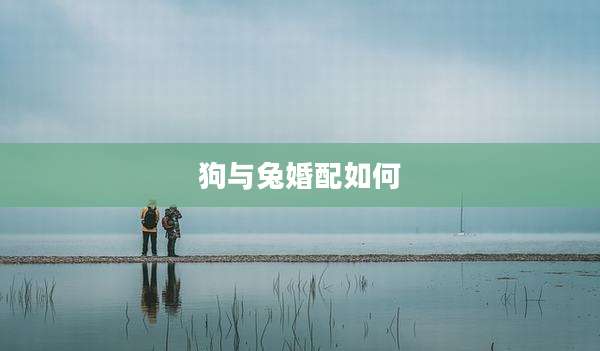 狗与兔婚配如何