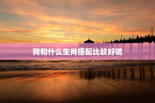 狗和什么生肖搭配比较好呢