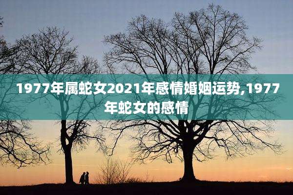 1977年属蛇女2021年感情婚姻运势,1977年蛇女的感情