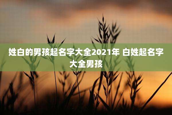 姓白的男孩起名字大全2021年 白姓起名字大全男孩