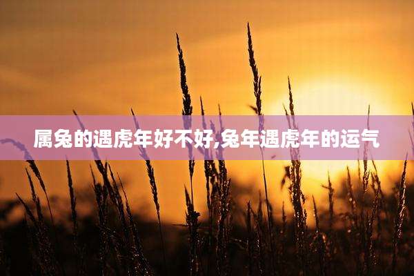 属兔的遇虎年好不好,兔年遇虎年的运气