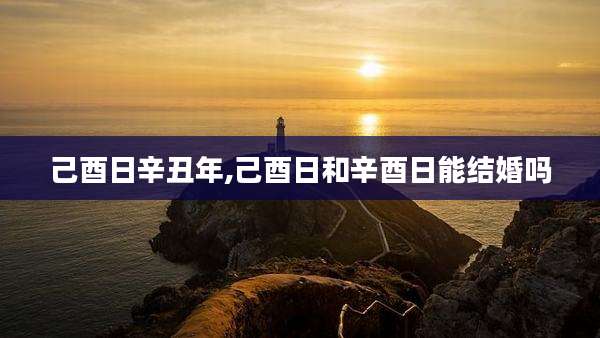 己酉日辛丑年,己酉日和辛酉日能结婚吗