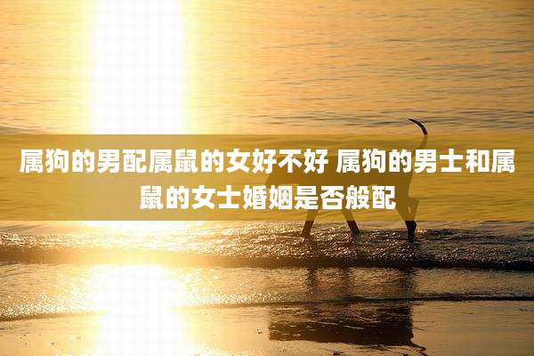 属狗的男配属鼠的女好不好 属狗的男士和属鼠的女士婚姻是否般配