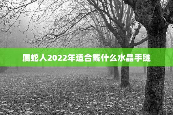 属蛇人2022年适合戴什么水晶手链