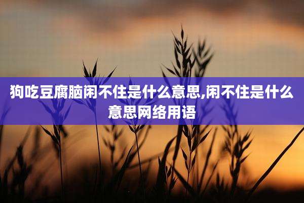 狗吃豆腐脑闲不住是什么意思,闲不住是什么意思网络用语