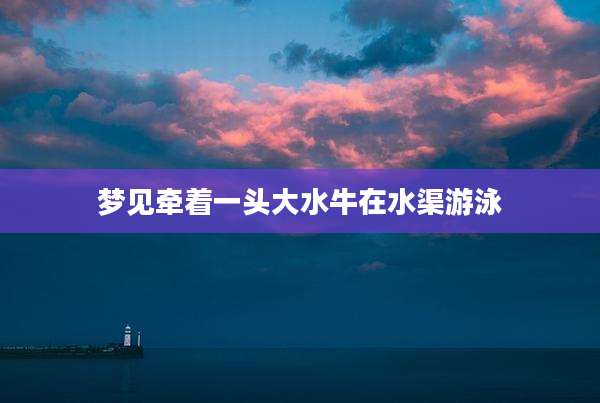 梦见牵着一头大水牛在水渠游泳