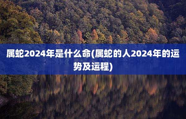 属蛇2024年是什么命(属蛇的人2024年的运势及运程)