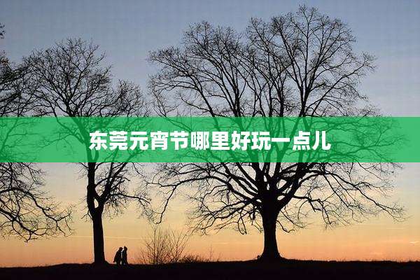 东莞元宵节哪里好玩一点儿