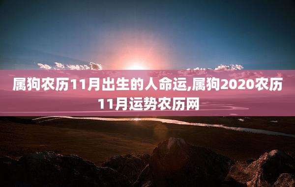 属狗农历11月出生的人命运,属狗2020农历11月运势农历网