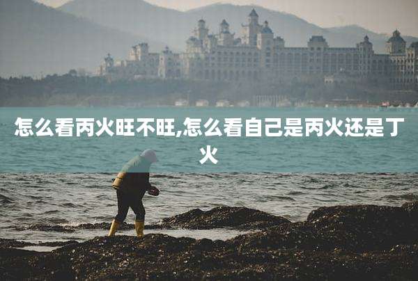 怎么看丙火旺不旺,怎么看自己是丙火还是丁火