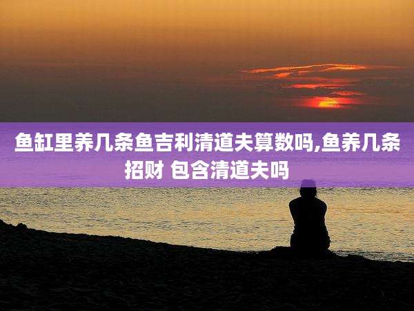 鱼缸里养几条鱼吉利清道夫算数吗,鱼养几条招财 包含清道夫吗