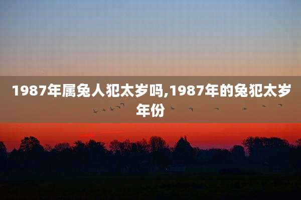 1987年属兔人犯太岁吗,1987年的兔犯太岁年份