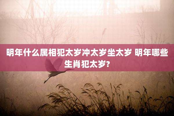明年什么属相犯太岁冲太岁坐太岁 明年哪些生肖犯太岁?