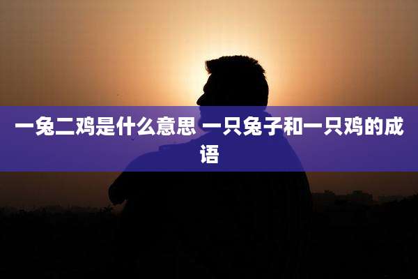 一兔二鸡是什么意思 一只兔子和一只鸡的成语
