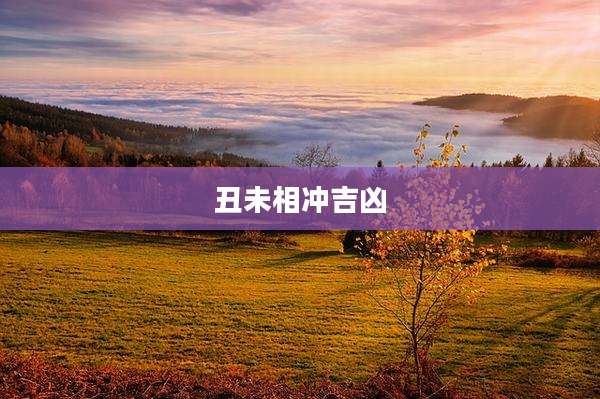 丑未相冲吉凶