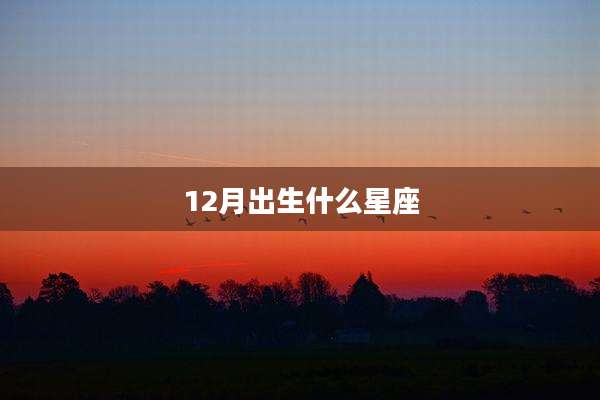 12月出生什么星座