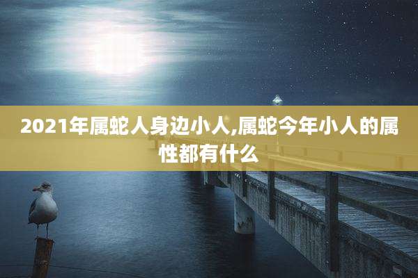 2021年属蛇人身边小人,属蛇今年小人的属性都有什么