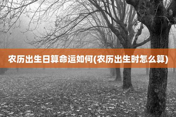 农历出生日算命运如何(农历出生时怎么算)