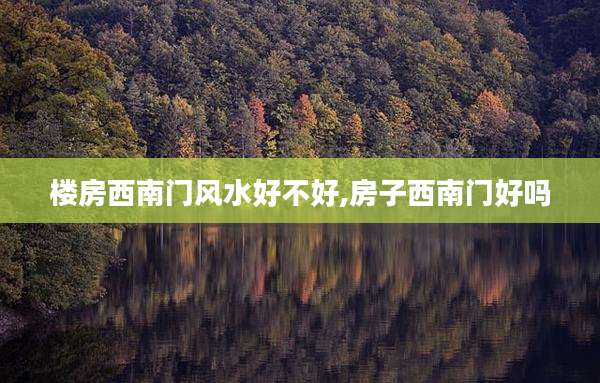 楼房西南门风水好不好,房子西南门好吗