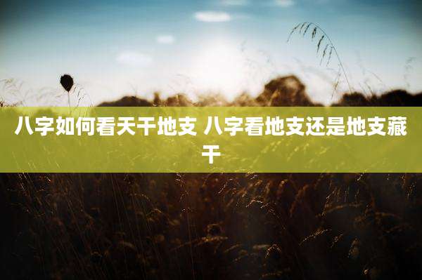 八字如何看天干地支 八字看地支还是地支藏干