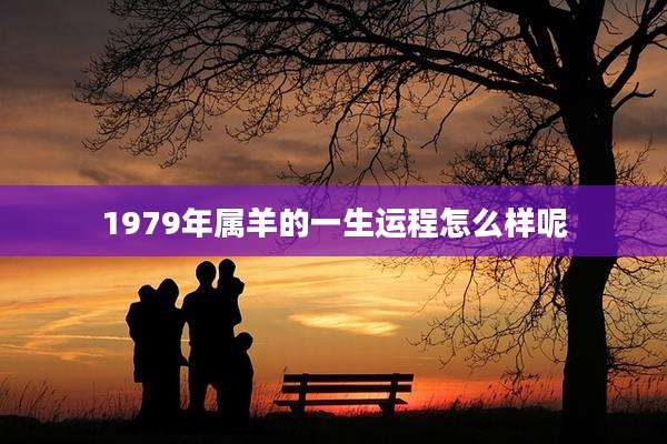 1979年属羊的一生运程怎么样呢