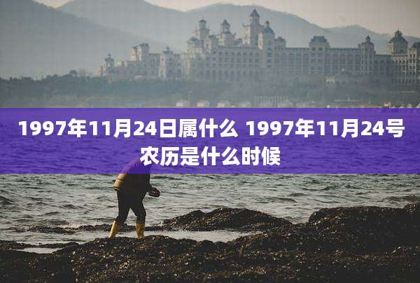 1997年11月24日属什么 1997年11月24号农历是什么时候