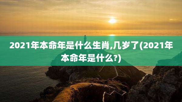 2021年本命年是什么生肖,几岁了(2021年本命年是什么?)