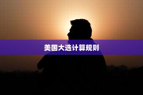 美国大选计算规则