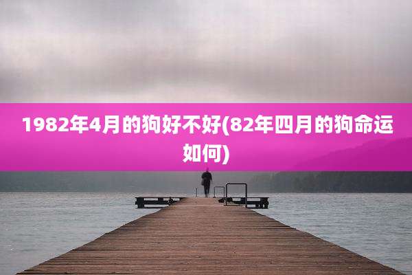 1982年4月的狗好不好(82年四月的狗命运如何)