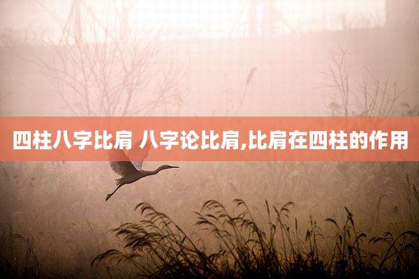 四柱八字比肩 八字论比肩,比肩在四柱的作用