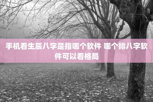 手机看生辰八字是指哪个软件 哪个排八字软件可以看格局