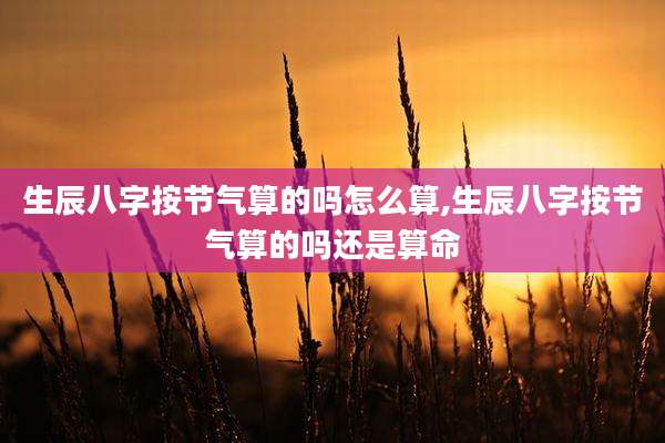 生辰八字按节气算的吗怎么算,生辰八字按节气算的吗还是算命
