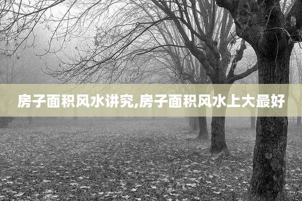 房子面积风水讲究,房子面积风水上大最好