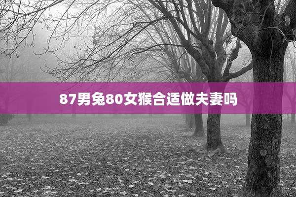 87男兔80女猴合适做夫妻吗