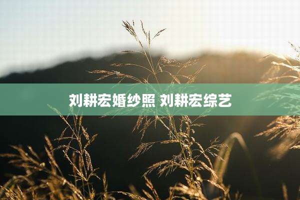 刘耕宏婚纱照 刘耕宏综艺