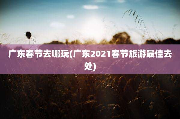 广东春节去哪玩(广东2021春节旅游最佳去处)