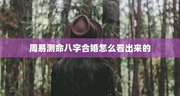周易测命八字合婚怎么看出来的