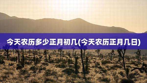 今天农历多少正月初几(今天农历正月几日)