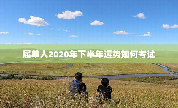 属羊人2020年下半年运势如何考试