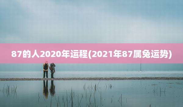 87的人2020年运程(2021年87属兔运势)
