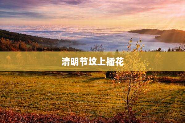 清明节坟上插花