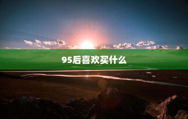 95后喜欢买什么