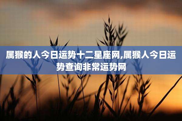 属猴的人今日运势十二星座网,属猴人今日运势查询非常运势网