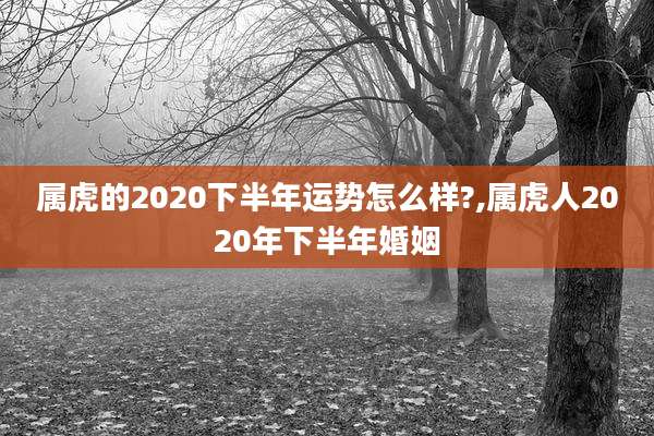 属虎的2020下半年运势怎么样?,属虎人2020年下半年婚姻