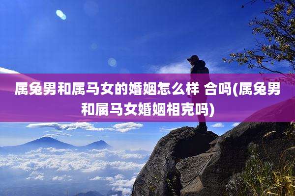 属兔男和属马女的婚姻怎么样 合吗(属兔男和属马女婚姻相克吗)