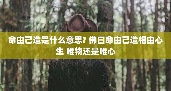 命由己造是什么意思? 佛曰命由己造相由心生 唯物还是唯心