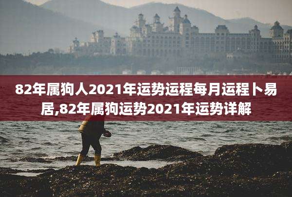 82年属狗人2021年运势运程每月运程卜易居,82年属狗运势2021年运势详解